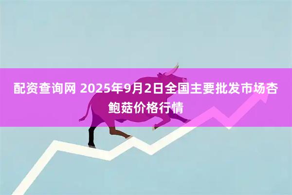配资查询网 2025年9月2日全国主要批发市场杏鲍菇价格行情