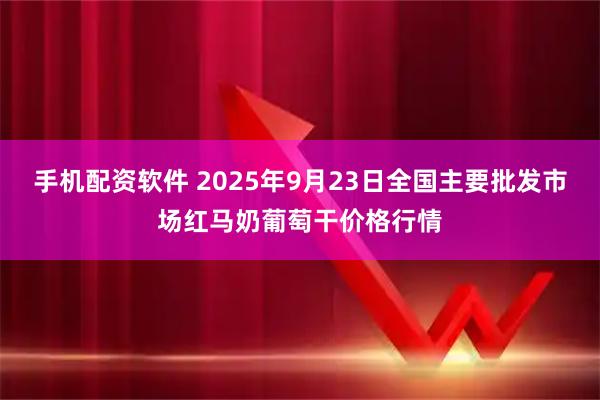 手机配资软件 2025年9月23日全国主要批发市场红马奶葡萄干价格行情