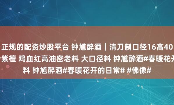 正规的配资炒股平台 钟馗醉酒｜清刀制口径16高40 重7.4斤印度小叶紫檀 鸡血红高油密老料 大口径料 钟馗醉酒#春暖花开的日常# #佛像#